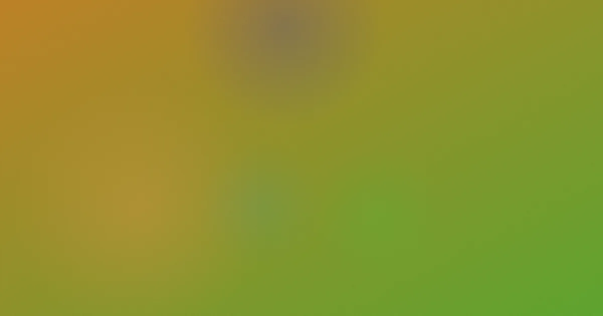 性老师推荐：新手怎么选